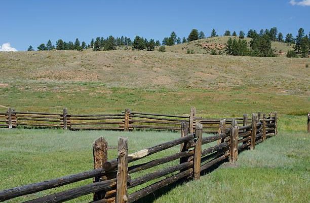 The Castello Families of Colorado #6